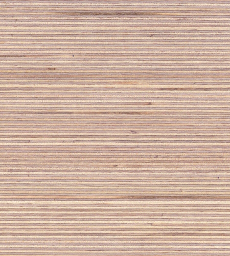 Plexwood® Bouleau noble composé de surface en contreplaqué vernis pour des applications de bois dur