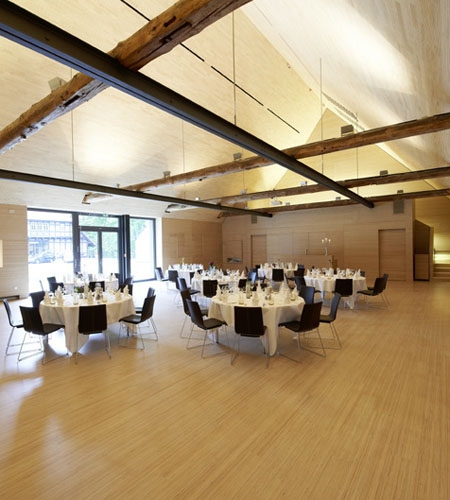Plexwood® Kränholm Barn conference hall interior with floor, stairs, walls, ceilings, doors and cabinetry in birch