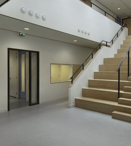 Plexwood® Escola Van Brienenoord com escadaria central durável com escadas e assentos em compósitos de contraplacado de bétula folheada
