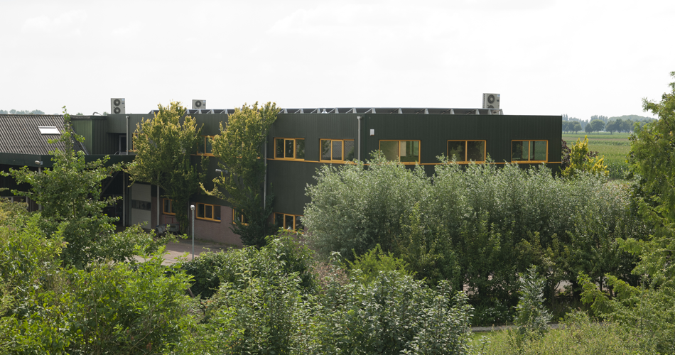 Un ambiente típico holandés con diques, agua y pájaros, rodea nuestra fábrica